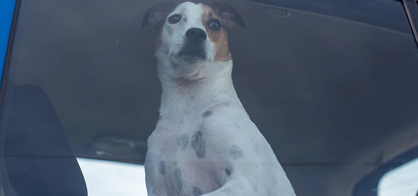 Car Lockout Solutions in Soquel, California